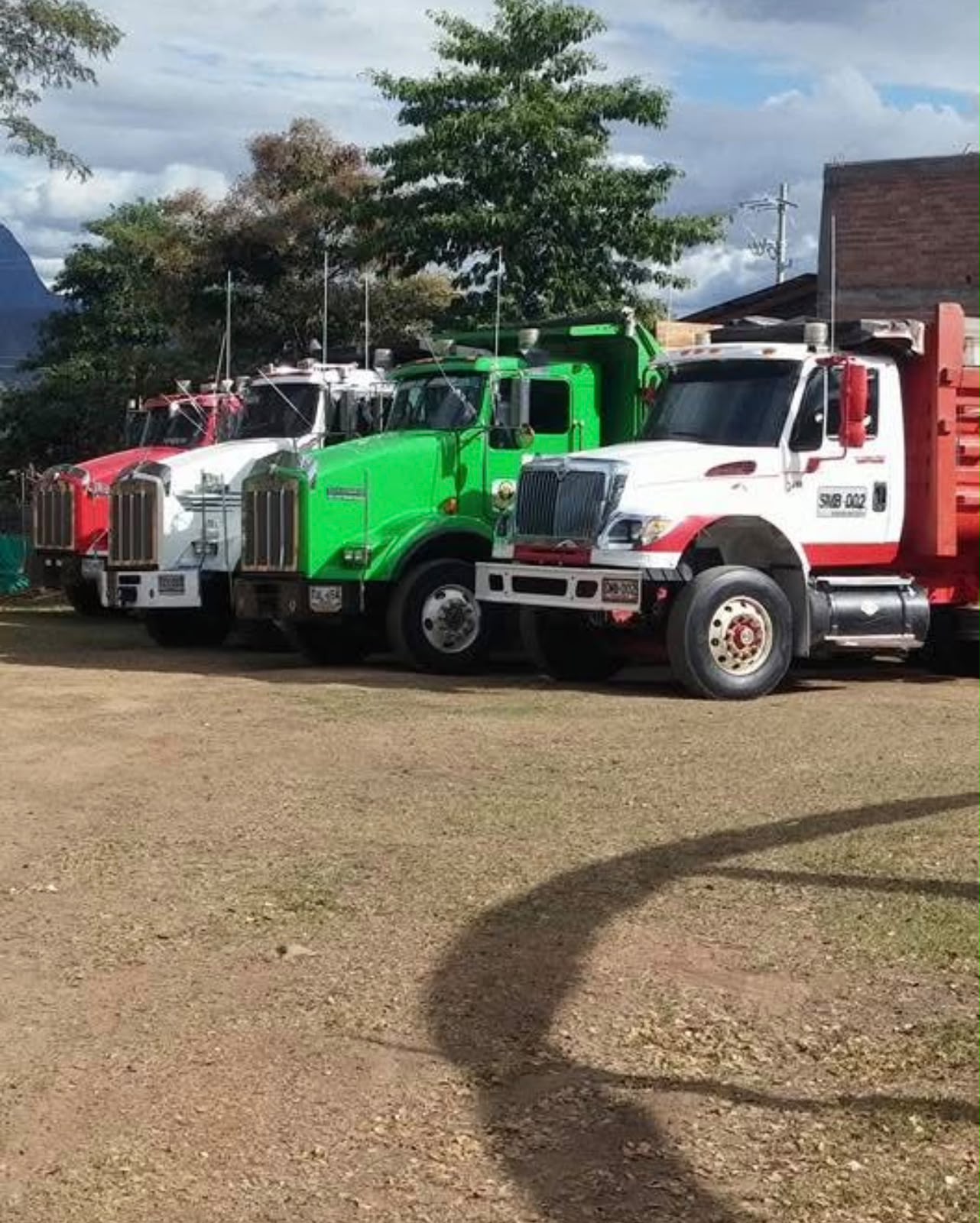 Volquetas blancas, verdes y rojas estacionadas en fila